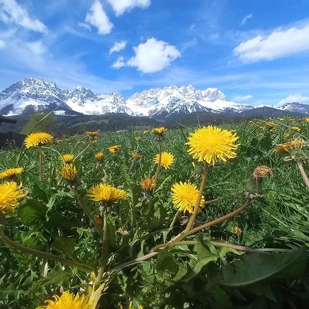 Ferienwohnung Lara Scheffau am Wilden Kaiser Extérieur photo
