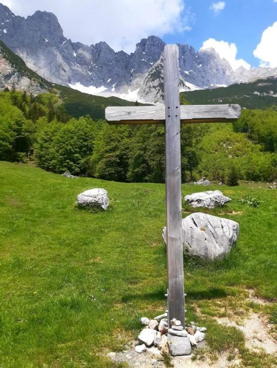 Ferienwohnung Lara Scheffau am Wilden Kaiser Extérieur photo