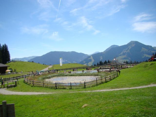 Ferienwohnung Lara Scheffau am Wilden Kaiser Extérieur photo