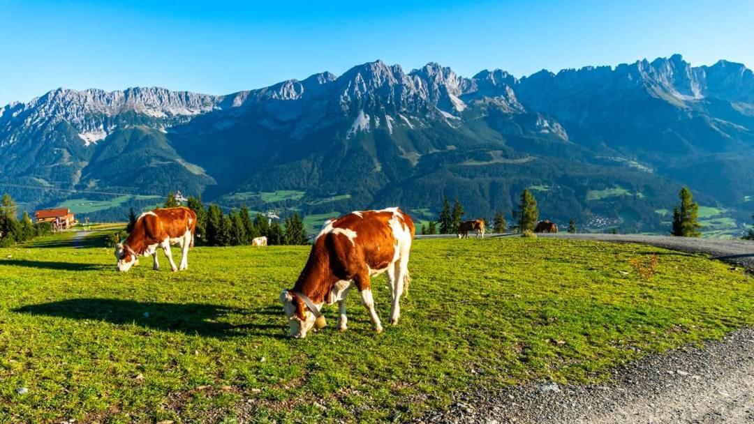 Ferienwohnung Lara Scheffau am Wilden Kaiser Extérieur photo