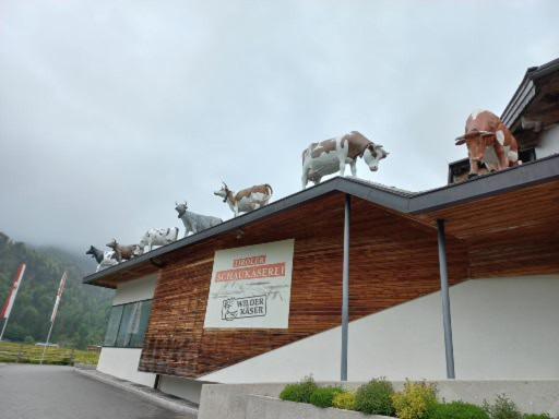 Ferienwohnung Lara Scheffau am Wilden Kaiser Extérieur photo